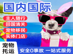 成吉思汗机场空运国际宠物托运 【国